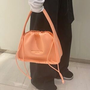 Brand New Alexander Wang Ryan Small Bag
